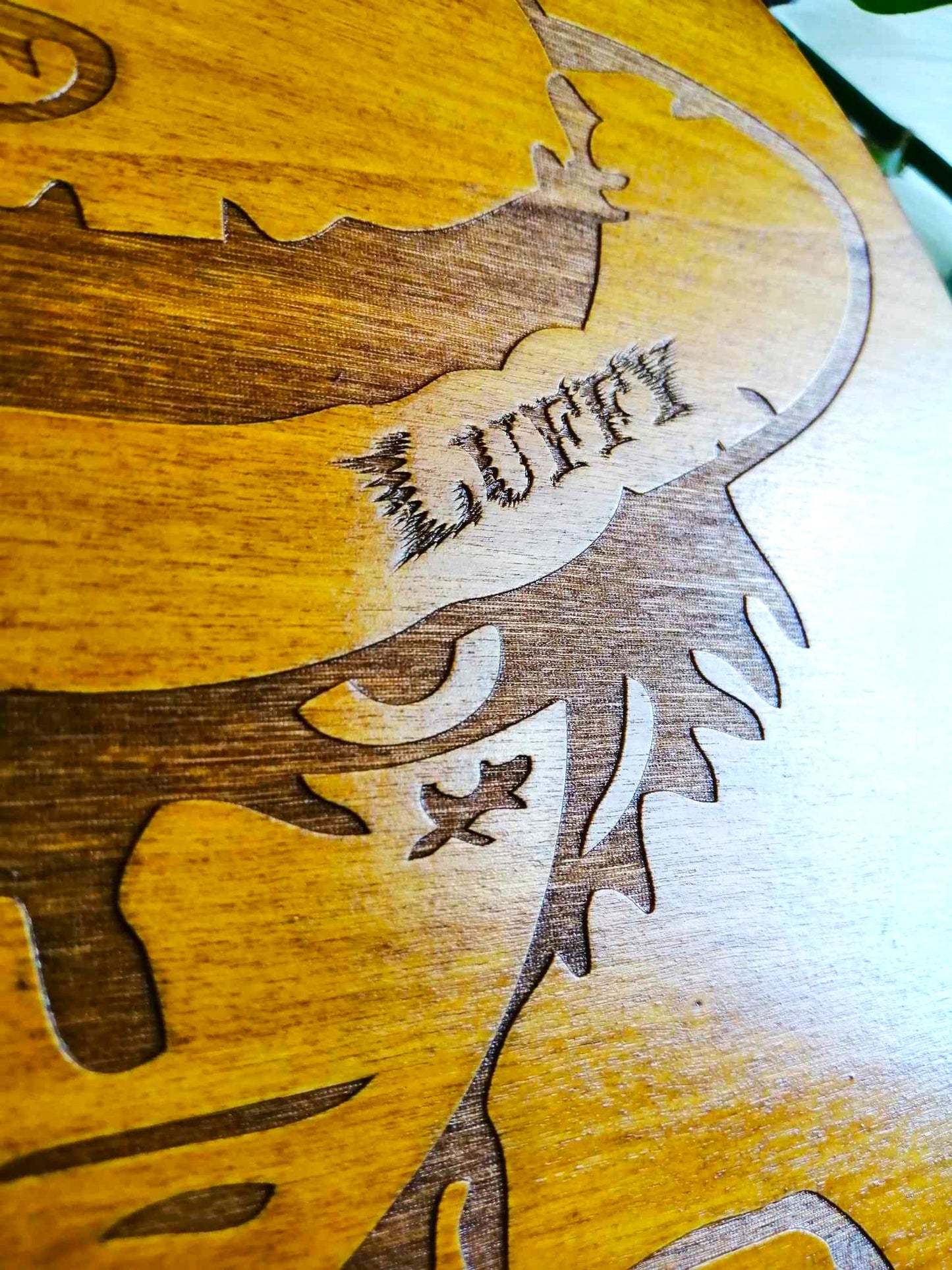 one piece, Luffy.