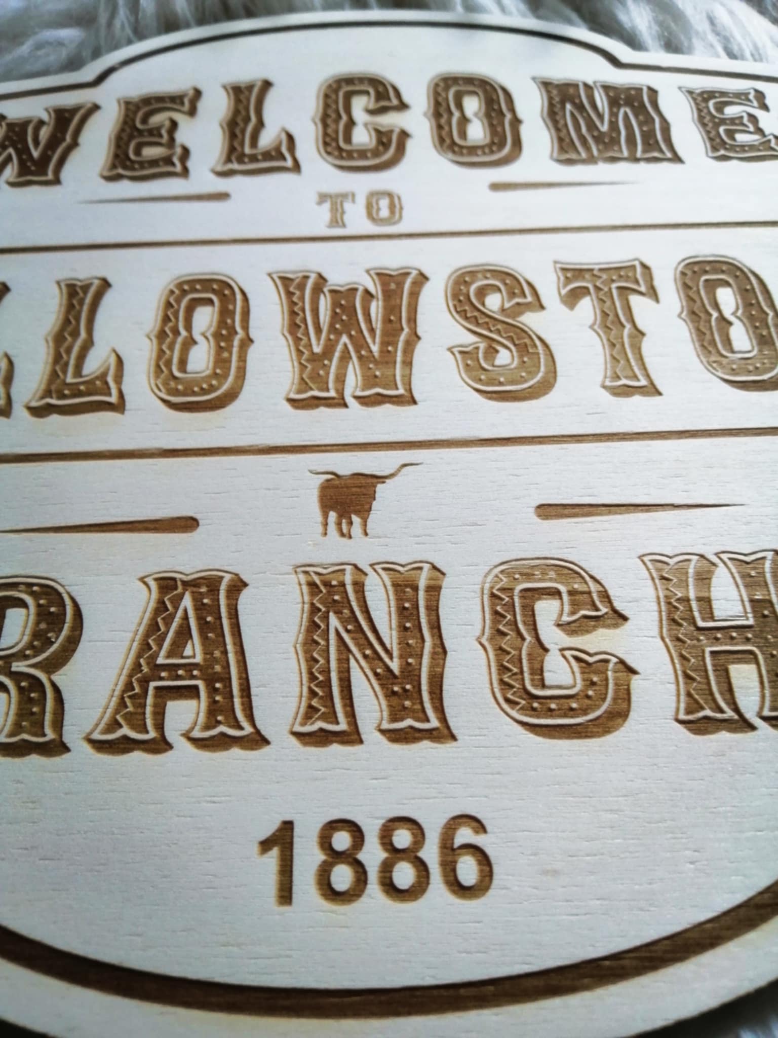 Décoration country Welcome Ranch bois
