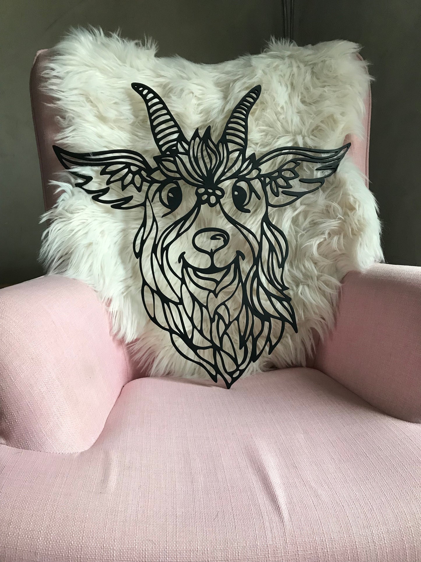 Chèvre...Goat